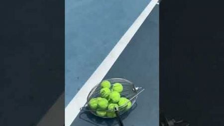 Tennis Made Easy: Fast Ball Collector #smalleyes #smallball #tennisequipment #funny