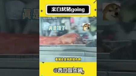 来自烤猪going #娱乐评论大赏 #烤猪 #翘臀 #美臀 #性感