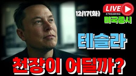 12/17 화 ( 실시간 라이브 ) 테슬라 언제까지 쏠까? I 미국주식 대응 및 전략