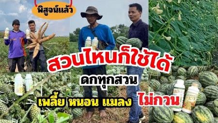 สูตรเพิ่มผลผลิตติดดก++ ที่เจ้าของสวน พิสูจน์แล้ว