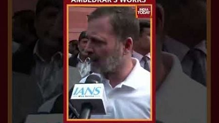 Rahul Condemns Shah&#39;s Statement Over Ambedkar, Says BJP Will Finish Ambedkar&#39;s Ideology And Works