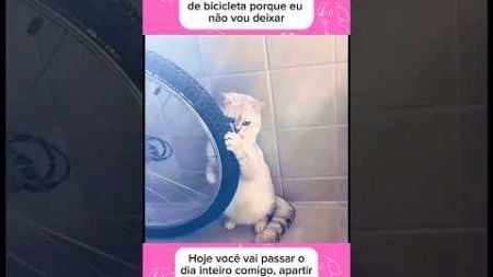 Não vai andar de bicicleta #petsengracados #pets #humor #animaisengracados #cachorro #gatos #comedia