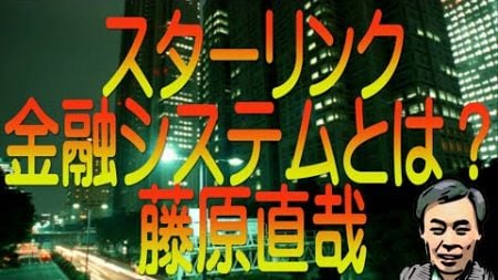 【ゆっくり解説】スターリンク金融システムとは？藤原直哉