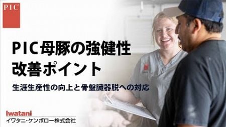 PIC母豚の強健性改善ポイント　-生涯生産性の向上と骨盤臓器脱への対応-