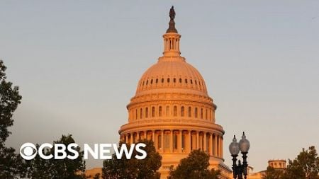 House Democrats eye midterms, Electoral College votes on 2024 results, more | America Decides