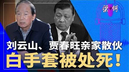 刘云山、贾春旺亲家散伙！刘家白手套被处死，习近平时代第二案！| #梁+何（405）