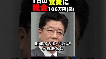 無能な大臣は実費で弁当食ってろ！ #海外の反応 #政治 #食事