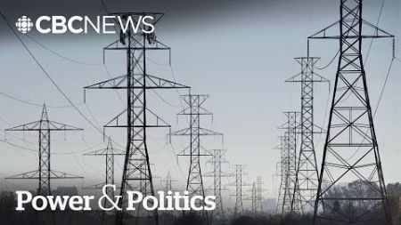 Ottawa no longer committed to a net-zero electricity grid by 2035 | Power &amp; Politics