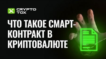 Смарт-контракт в криптовалюте: что это простыми словами, виды, особенности, примеры