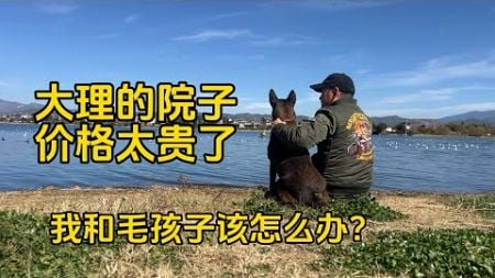 鐵牛旅行記560集/帶著狗在大理找院子沒有希望了，流浪漢跟流浪狗結局會怎麼樣？#狗是人类最忠诚的朋友 #流浪狗 #dog