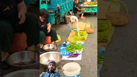 🔥Dog marketing💯 #trending😡#funny🔥#animals #viralreels🐕#pets❤#cute #trendingshorts #kitten#cooking