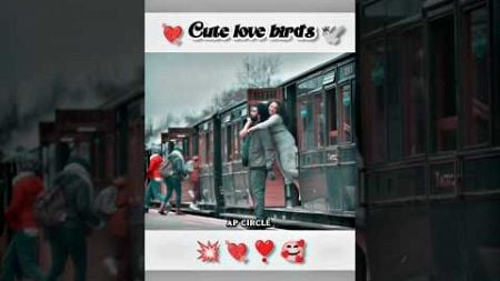 Cute love birds 🕊️ | true love story 💘 | love couple&#39;s 👩‍❤️‍👨 | #love #trending #viralshorts #shorts