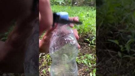 Survival skills:waterproof emergency lighter case for extreme conditions