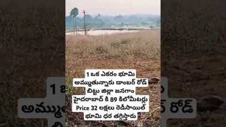 Call : 8184850330 | #vairalvideo #realestate #telangana #landforsale #land #agriculture #farming