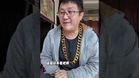 二咪子要宠物，我给它弄个，它不大喜欢#萌宠出道计划 #谁能拒绝傻憨憨的小猫咪 #韩哥萌宠