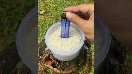 LIFEHACK: SMART idea and USEFUL! 🔥#easy #forest #lifehacks #outdoors #survival #camping #bushcraft