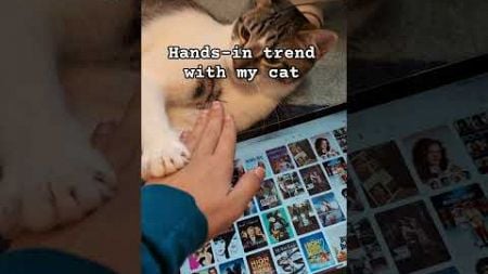 Hands-in trend with my cat