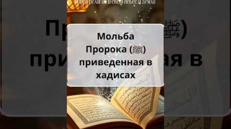 Мольба, которая изменит вашу жизнь! Дуа от Пророка (ﷺ) для благополучия в жизни и после смерти