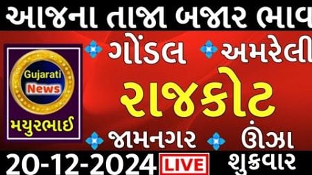 commodity prices 20.12.2024 rajkot marketing yard na bhav|saurashtra ajn bajar bhav|commodity price