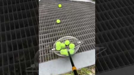 The Fastest and Easiest Way to Collect Tennis Balls #smalleyes #minivision #eyestar #seebetter