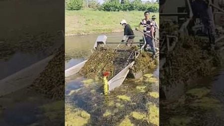 Rural farmer cleaning dirt with modern technology machines #satisfying #shorts