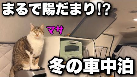 【猫と車中泊】車内の棚完成！消費電力の少ない暖房器具とポータブル電源だけで冬の車中泊｜EcoFlow DELTA 3 Plus