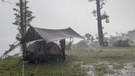 HEAVY RAIN IN CAMPING🏕RELAXING IN HEAVY RAIN - ASMR - COZY FOREST