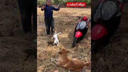 มาเต้นเร็ว #ยายอำคา #funny #viralvideo #shorts