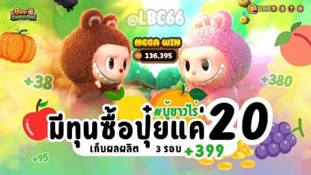 ลองทุน 20 ในการซื้อปุ๋ย เก็บผลผลิต 3 รอบ หวานๆ #บู้ชาวไร่ #lbc66