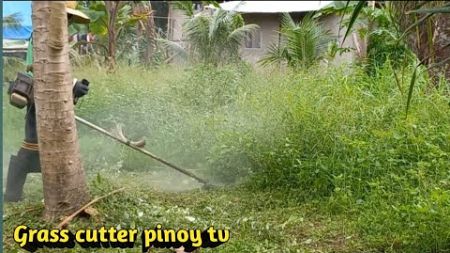 TRIMMING THE EXTREMELY OVERGROWN WET GRASS AND WEEDS / VACANT YARD TRANSFORMATION