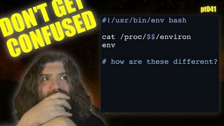 Proc FS Environment - Looking at `/proc/$$/environ` on Linux/Unix - You Suck at Programming #041