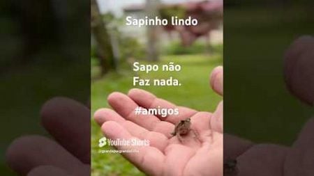 Meu novo amigo. #animais #fantastico #gpgf #youtubeshorts #funny #love #pets #pai #emillyvickof