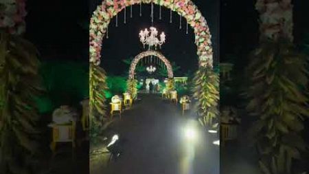 Wedding Decorator at Chandigarh |✓