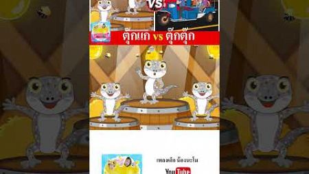 ตุ๊กแก vs ตุ๊กตุุ๊ก