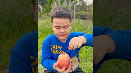 Cậu bé tốt bụng Gỡ bỏ nhãn nhãn dán Apple #camping p35