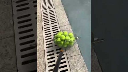 Efficient Tennis Ball Collection: The Ultimate Tool #smalleyes #funny #smallball