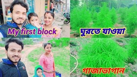 My first blog গাজাবাগান Youtube Blog video