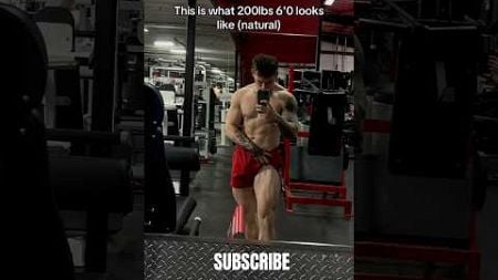 Natty or Enhanced? #shorts #gym #personalgrowth #tips #andrewpuckoris #entrepreneur