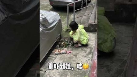 不会唱歌的铲屎官不是好的拐子婆 你刚刚说有大猫给你撑腰是吧？#我和流浪猫的故事 #天竺偷猫少女 #拐子婆 #灵魂歌手