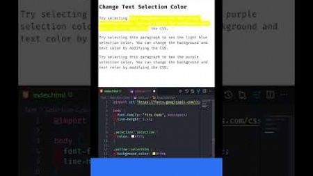 Change the Text Selection Color in CSS ✨ Improve Accessibility with Custom Styles