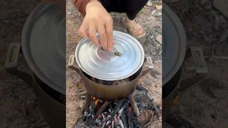 Survival Skills: SMART idea and USEFUL in forest #camping #bushcraft #outdoors #survival