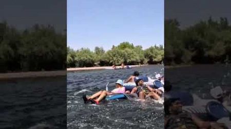 Damn. She didn&#39;t want to get wet at the river I guess #saltriversquirters #tubing #beerlife #summer