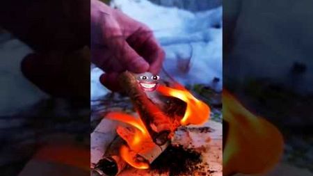 Fire Starting with WET BIRCH BARK and Magnesium 🔥 #camping #survival #lifehacks #bushcraft #shorts