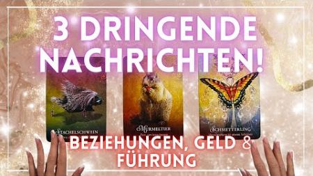 Was du jetzt wissen musst: Beziehungen, Finanzen und spirituelle Führung | Zeitloses Reading