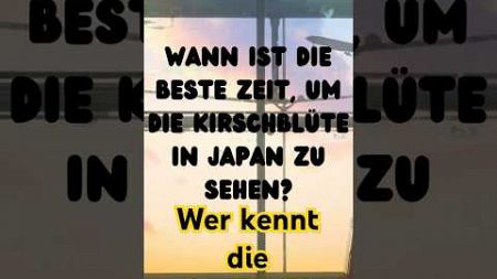 Wer kennt die Antwort? #urlaub #beach #quiz #travel ##reisen #strand #finanzen #strandwandeling