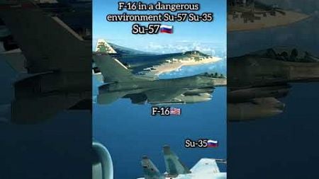 F16 in a dangerous environment Su-57 Su-35 #dangerous #f16 #su57 #su35