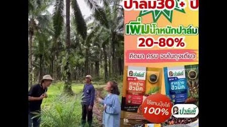 ผลผลิตเพิ่มขึ้น20-80%