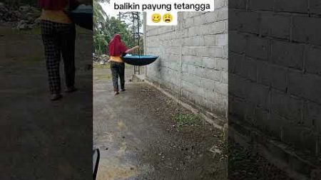 Balikin payung tetangga #lucu #comedyngakak #comedykocak #shortsviral