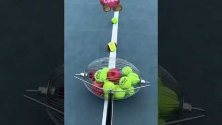 QuickPick: The Fastest Way to Collect Tennis Balls #smalleyes #tennisequipment #games #smallies