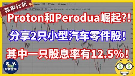 Proton和Perodua崛起？！分享2只小型汽车零件股！其中一只股息率有12.5%！另一只的大股东是明星私募基金！！